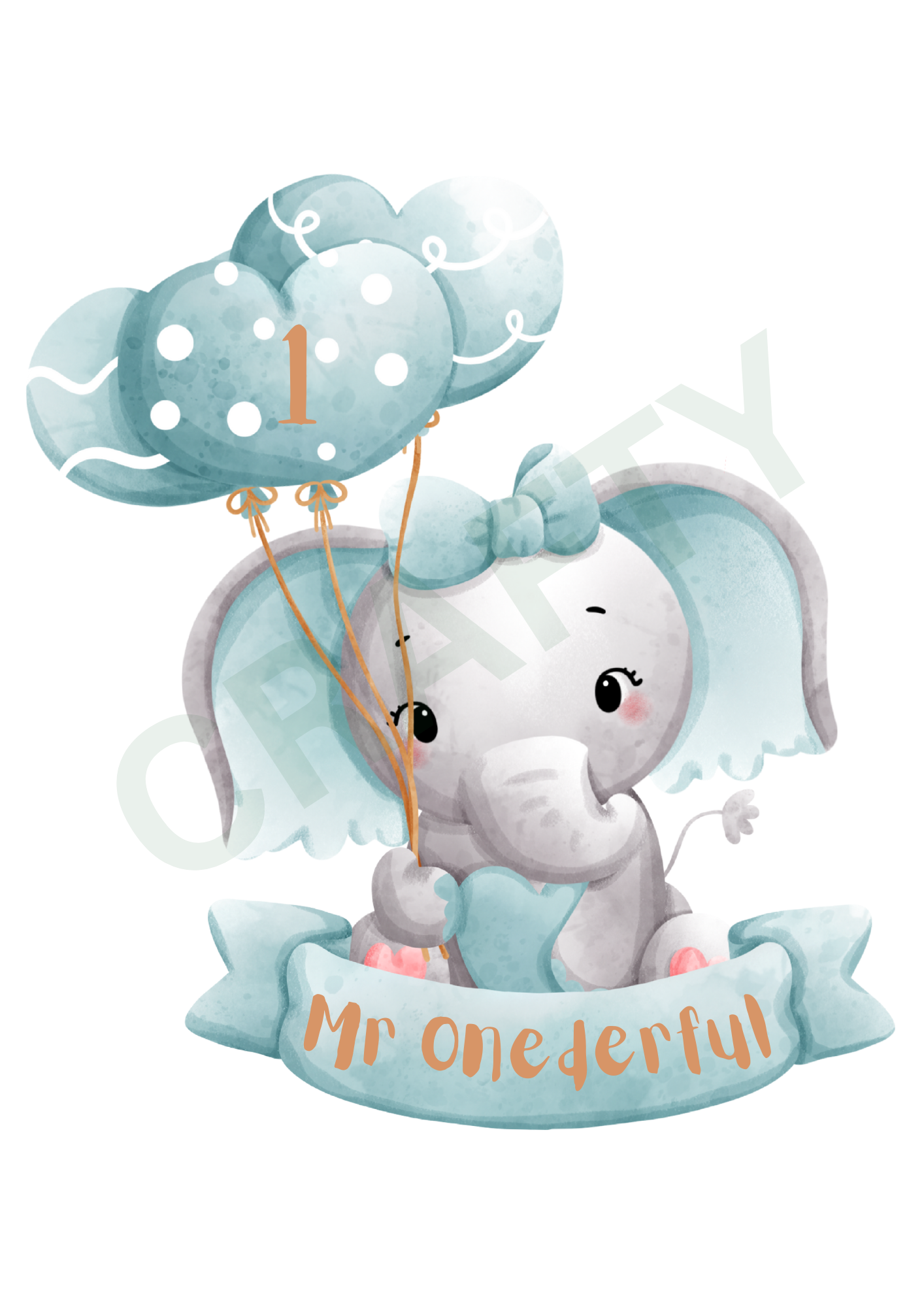 Mr Onederful First Birthday Sublimation Print