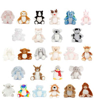 Load image into Gallery viewer, Mumbles Print Me Mini Bears
